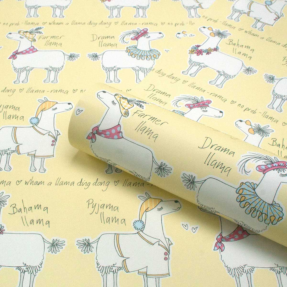 Albany Llama-rama Sunrise Wallpaper - Sheep , HD Wallpaper & Backgrounds