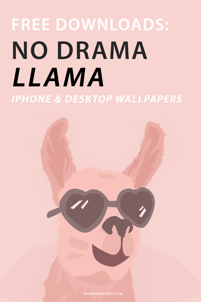 No Drama Llama Iphone And Desktop Wallpapers - Llama Wallpaper Desktop , HD Wallpaper & Backgrounds