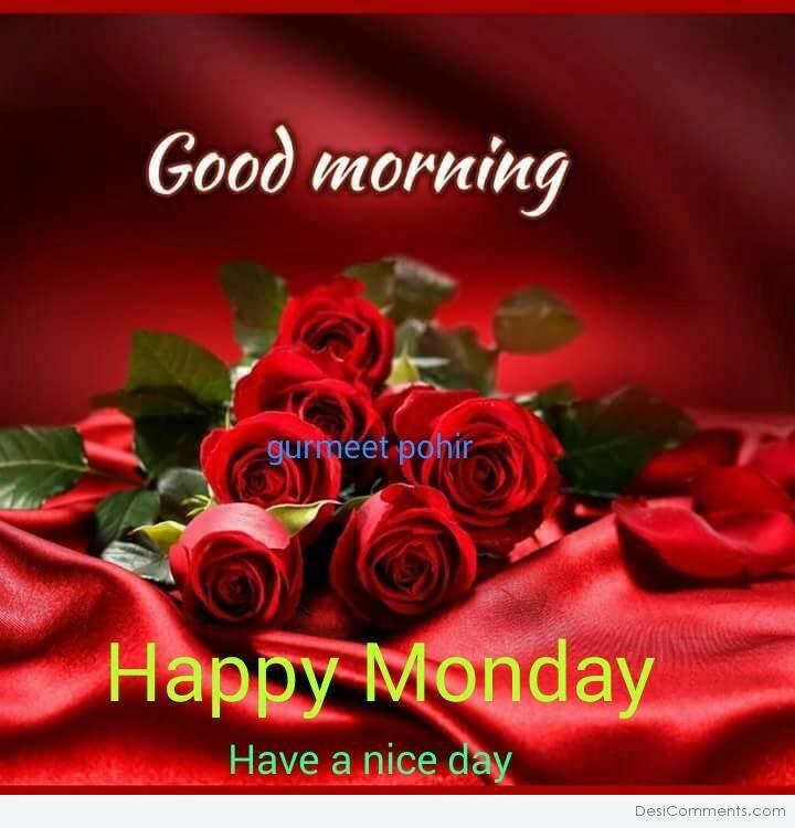 Good Morning Monday Quotes Romantic Good Morning Red Rose