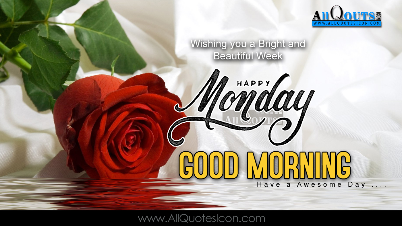 Happy Monday Morning Quotes Hindi Happy Monday Tamil - Garden Roses , HD Wallpaper & Backgrounds