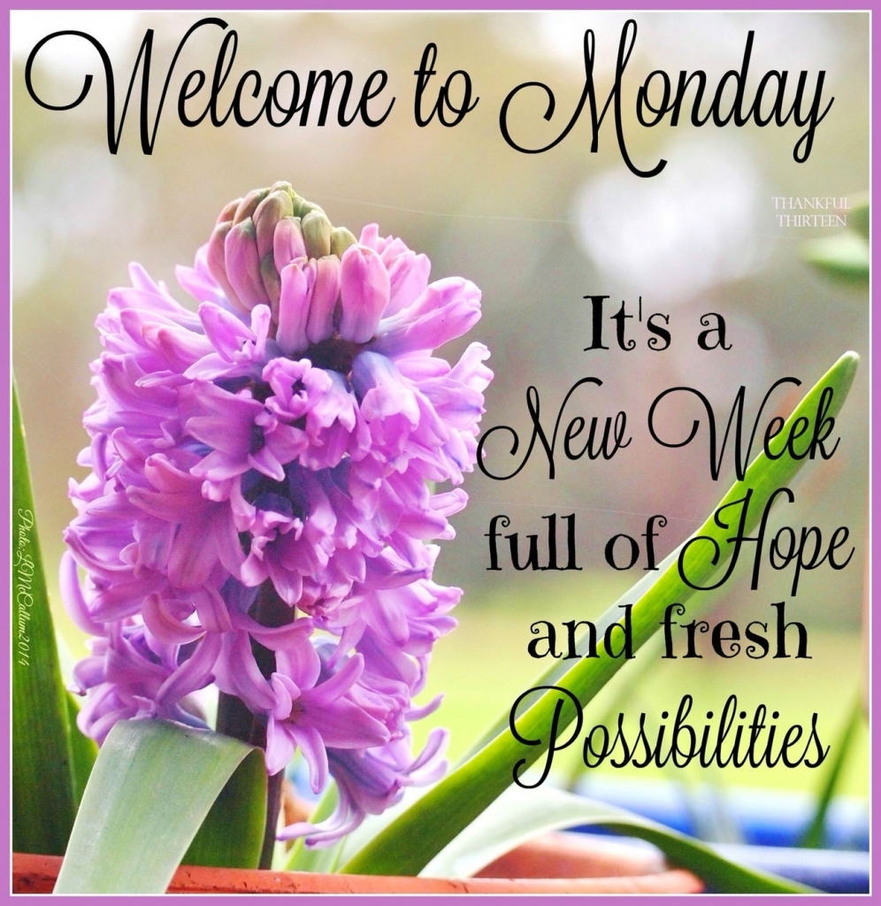 Good Morning Monday Quotes Good Morning Monday Wishes , HD Wallpaper & Backgrounds
