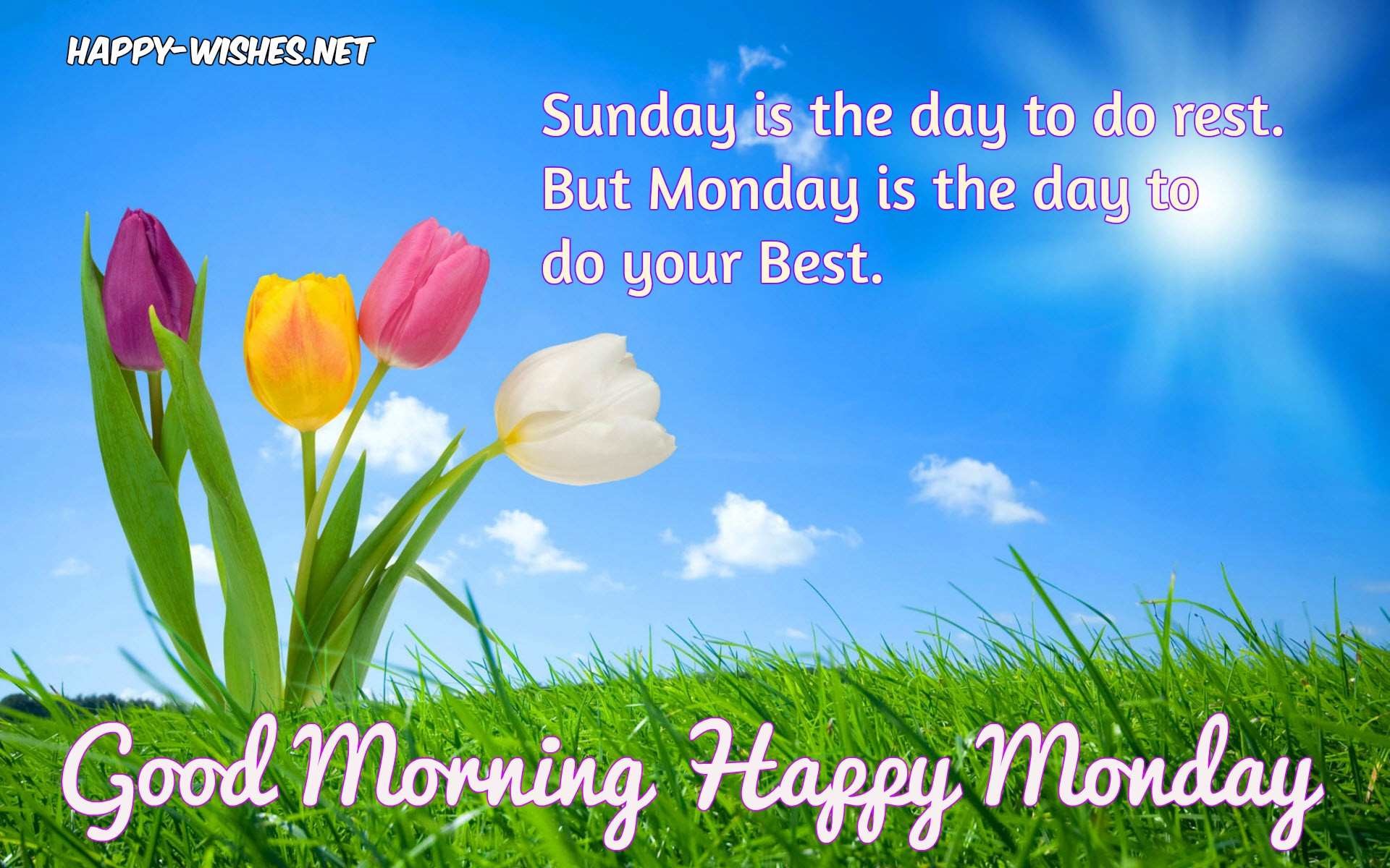 Good Morning Wishes On Monday Es - Monday Morning Wishes With Quotes , HD Wallpaper & Backgrounds