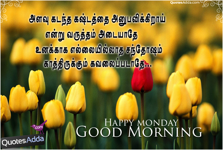 Happy Monday Tamil Good Morning Kavithai - Good Morning Monday Images In Tamil , HD Wallpaper & Backgrounds