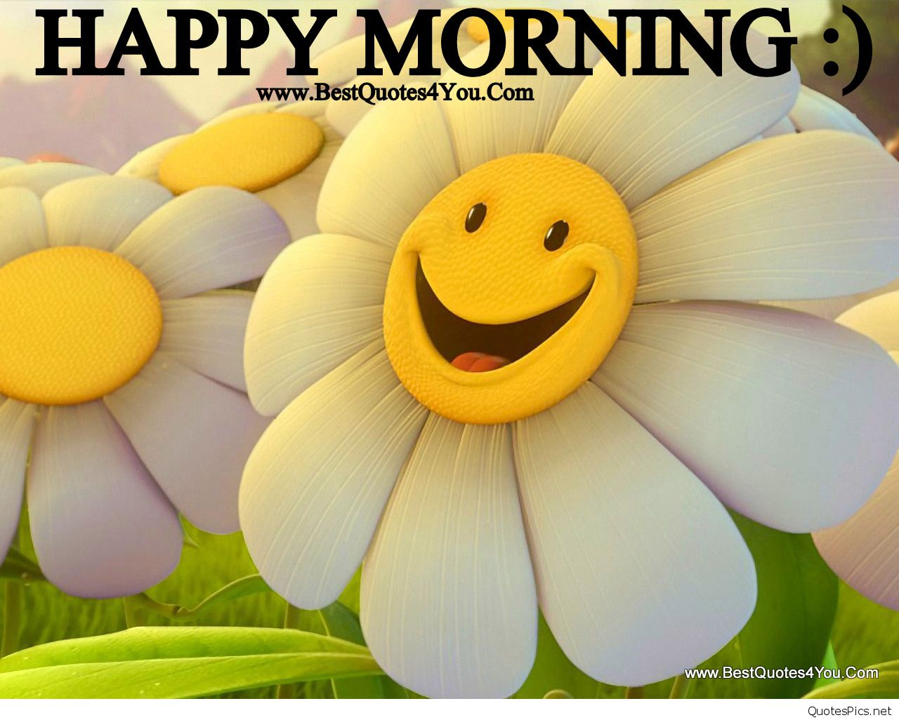Good Morning Friends Have A Nice Day Wallpaper Smiley - Good Morning Image Hd 2018 , HD Wallpaper & Backgrounds