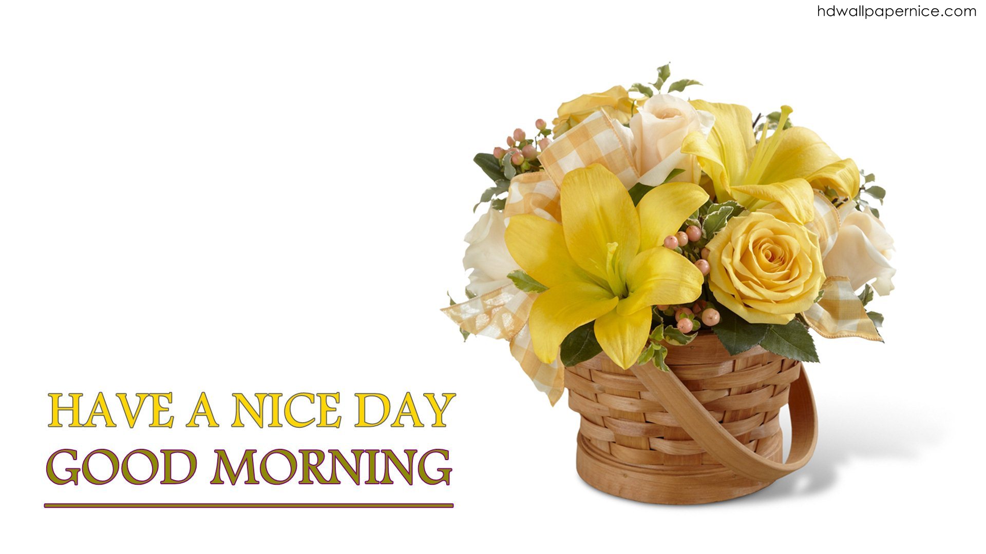 Good Morning Have A Nice Day Wallpaper 49 Pictures - Have A Nice Day Good Morning , HD Wallpaper & Backgrounds