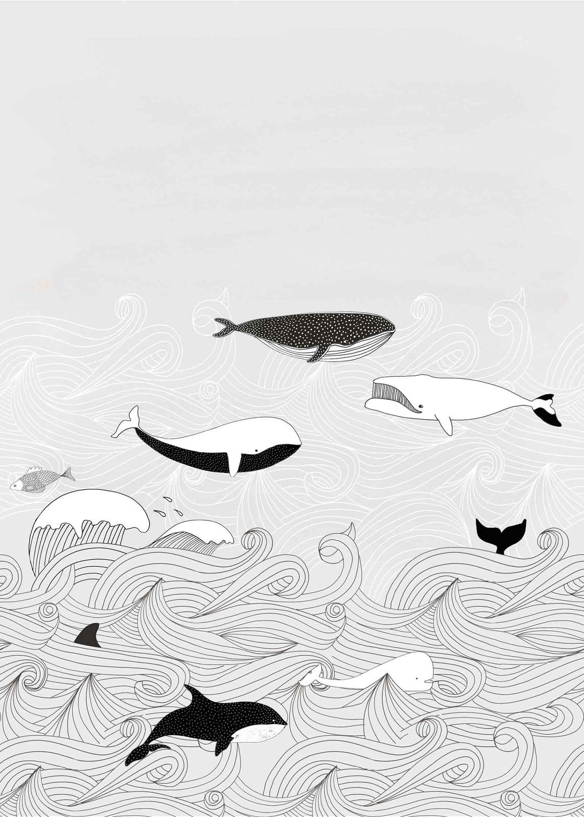 Mural Wallpaper Kids Rasch Whales Water Grey Black - Mural Wallpaper White Black Children , HD Wallpaper & Backgrounds