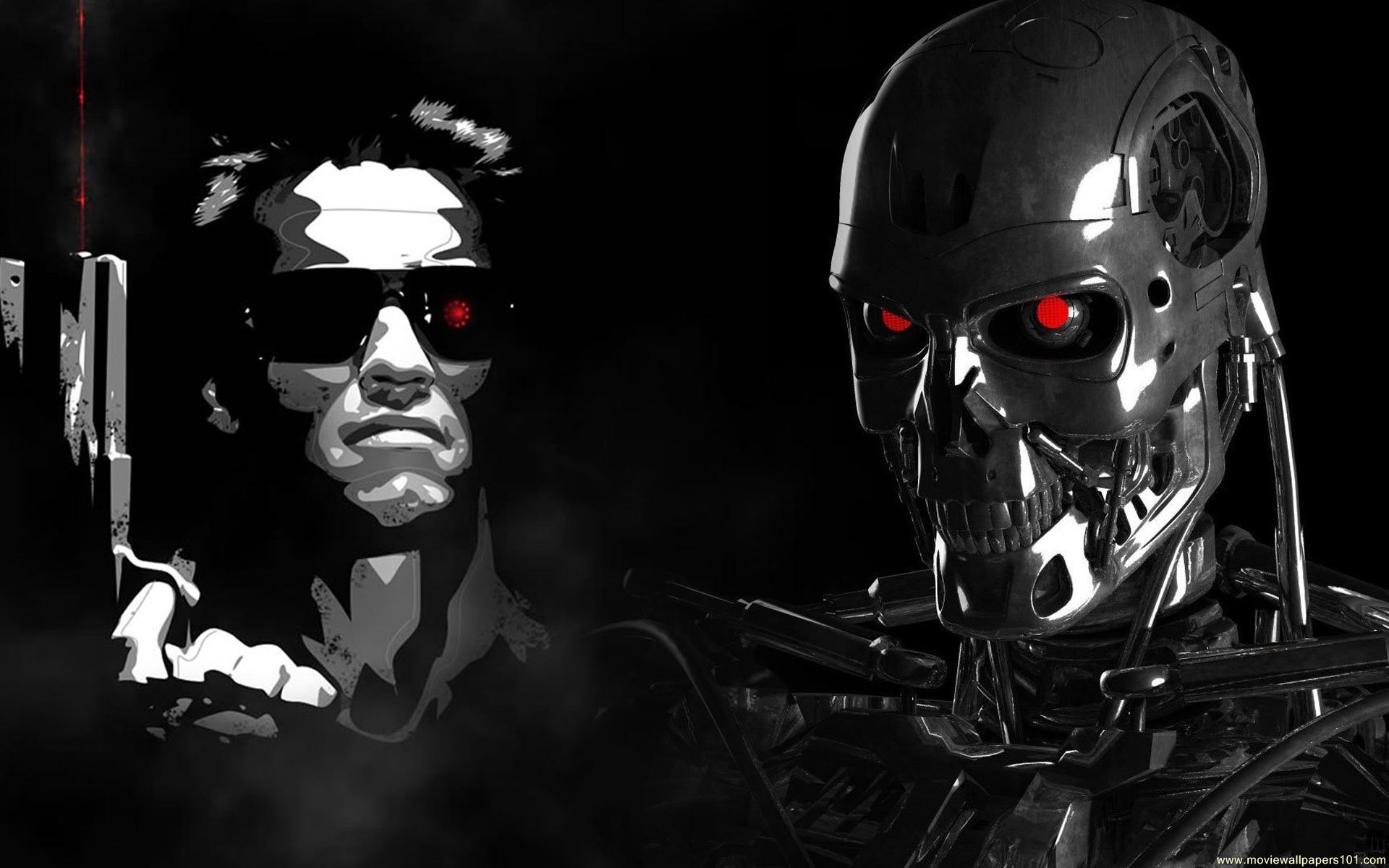Hollywood - Arnold Schwarzenegger Terminator , HD Wallpaper & Backgrounds