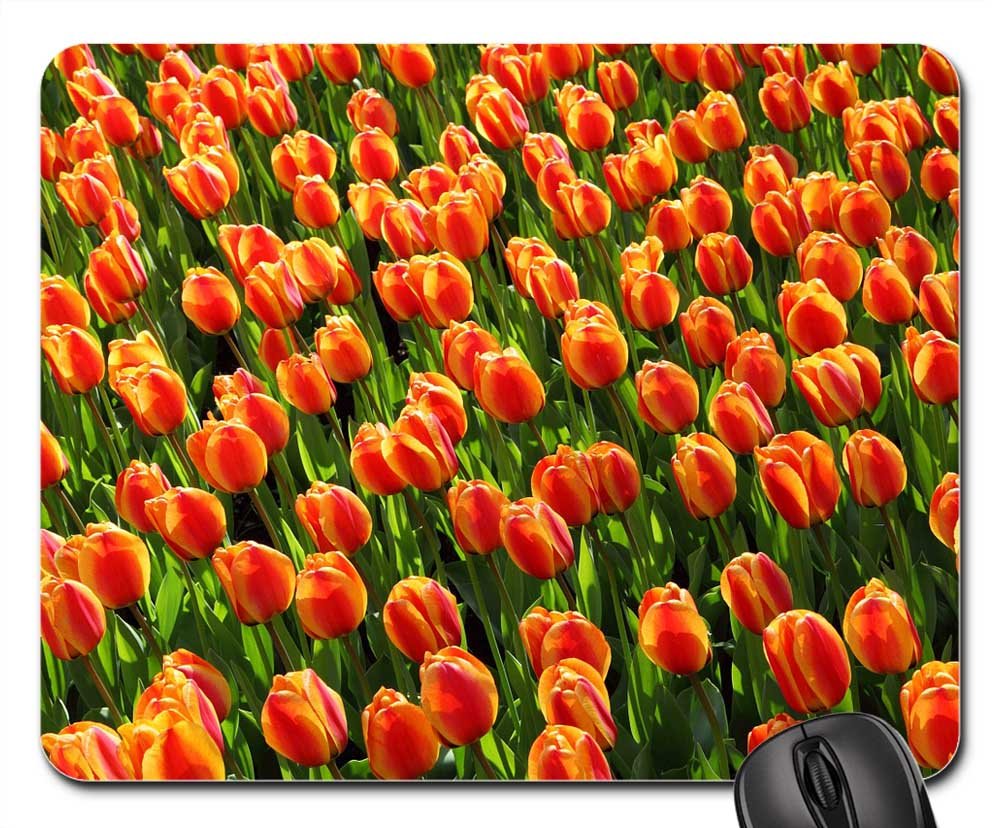 Mouse Pads - Apeldoorn Elite Tulip , HD Wallpaper & Backgrounds
