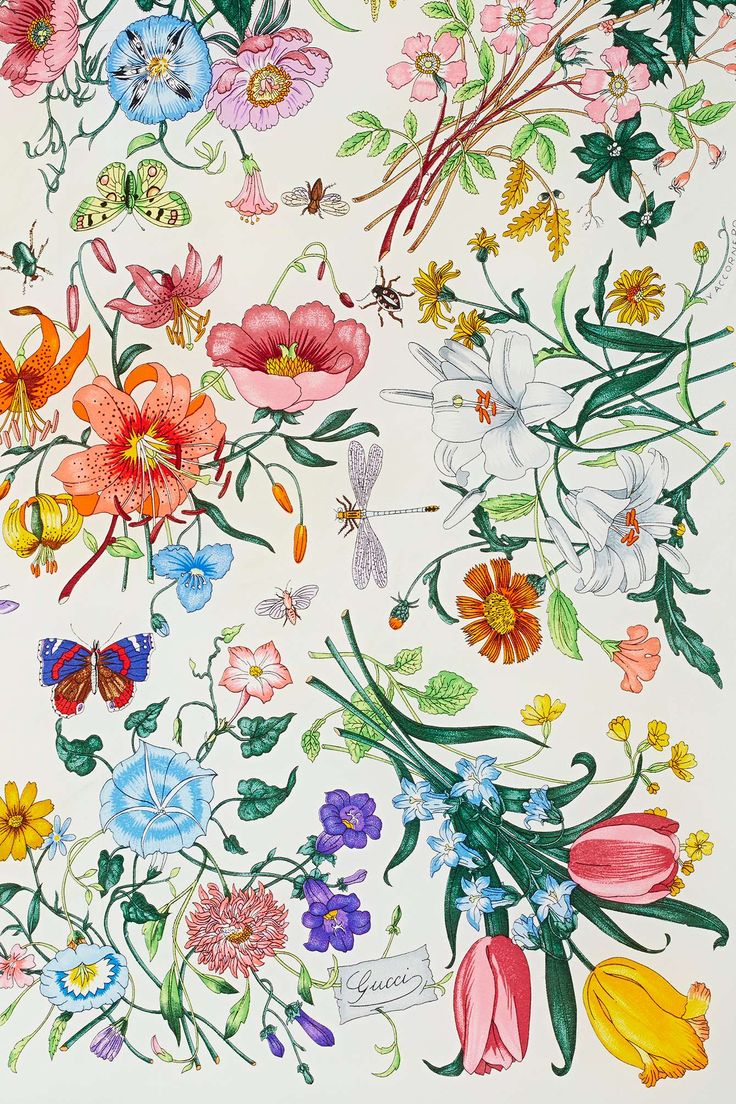 Gucci - Gucci Floral Pattern , HD Wallpaper & Backgrounds