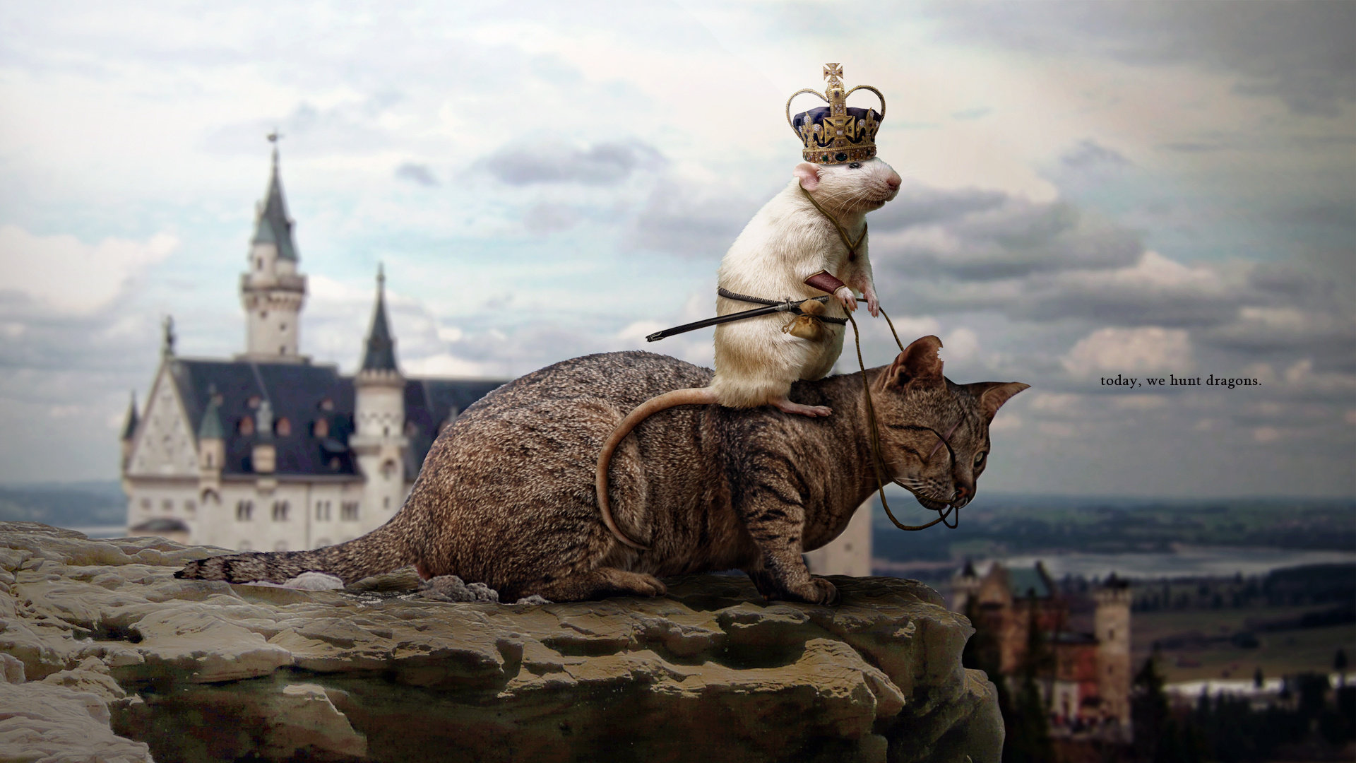 Best Funny Animal Wallpaper Id 93141 For High Resolution - Neuschwanstein Castle , HD Wallpaper & Backgrounds