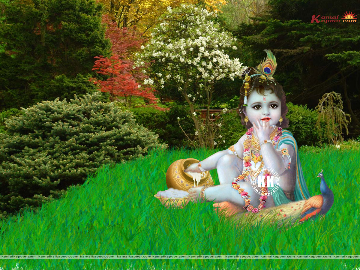 Bal Krishna Wallpaper Hd Full Size - Garden Image Full Hd , HD Wallpaper & Backgrounds