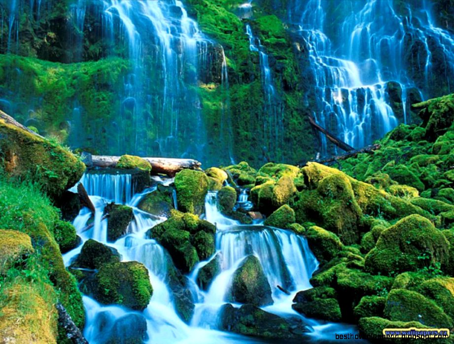 Hd Nature Wallpapers For Pc Full Screen Free Download - Proxy Falls , HD Wallpaper & Backgrounds