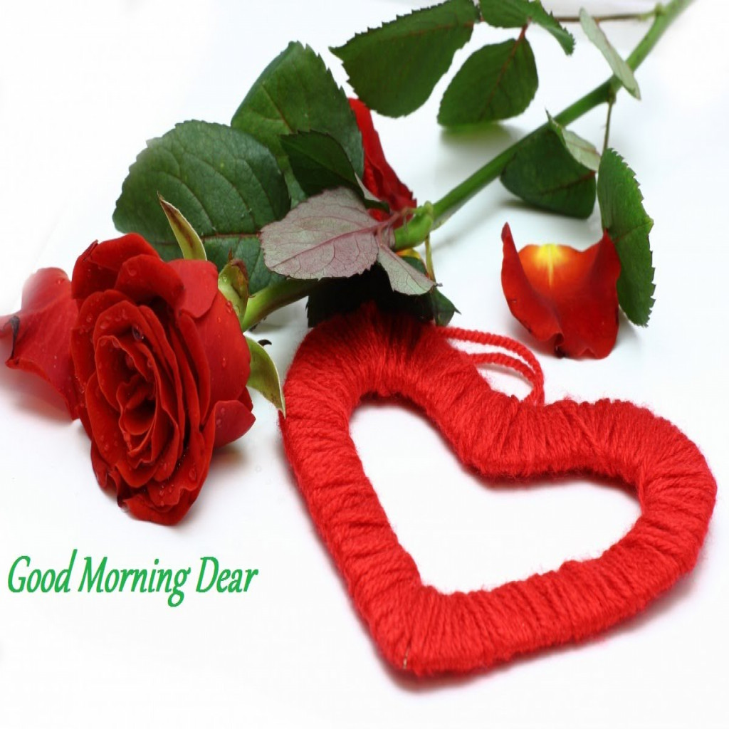 Whatsapp - Love And Good Morning , HD Wallpaper & Backgrounds