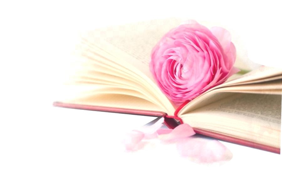 Wall Paper Rose The Flower Book Desktop Wallpaper Rose - Cute Rose Romantic Pink Beautiful , HD Wallpaper & Backgrounds