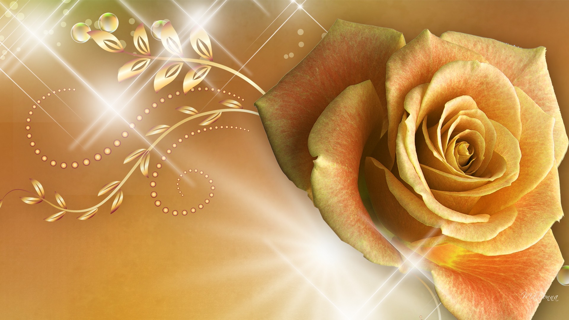 Rose - Rose Gold Roses Backgrounds , HD Wallpaper & Backgrounds