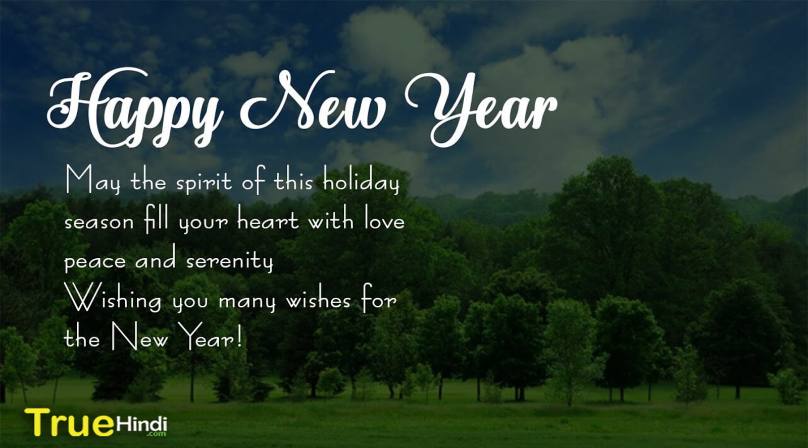 20 Best Happy New Year 2019 Status In Hindi - Tree , HD Wallpaper & Backgrounds