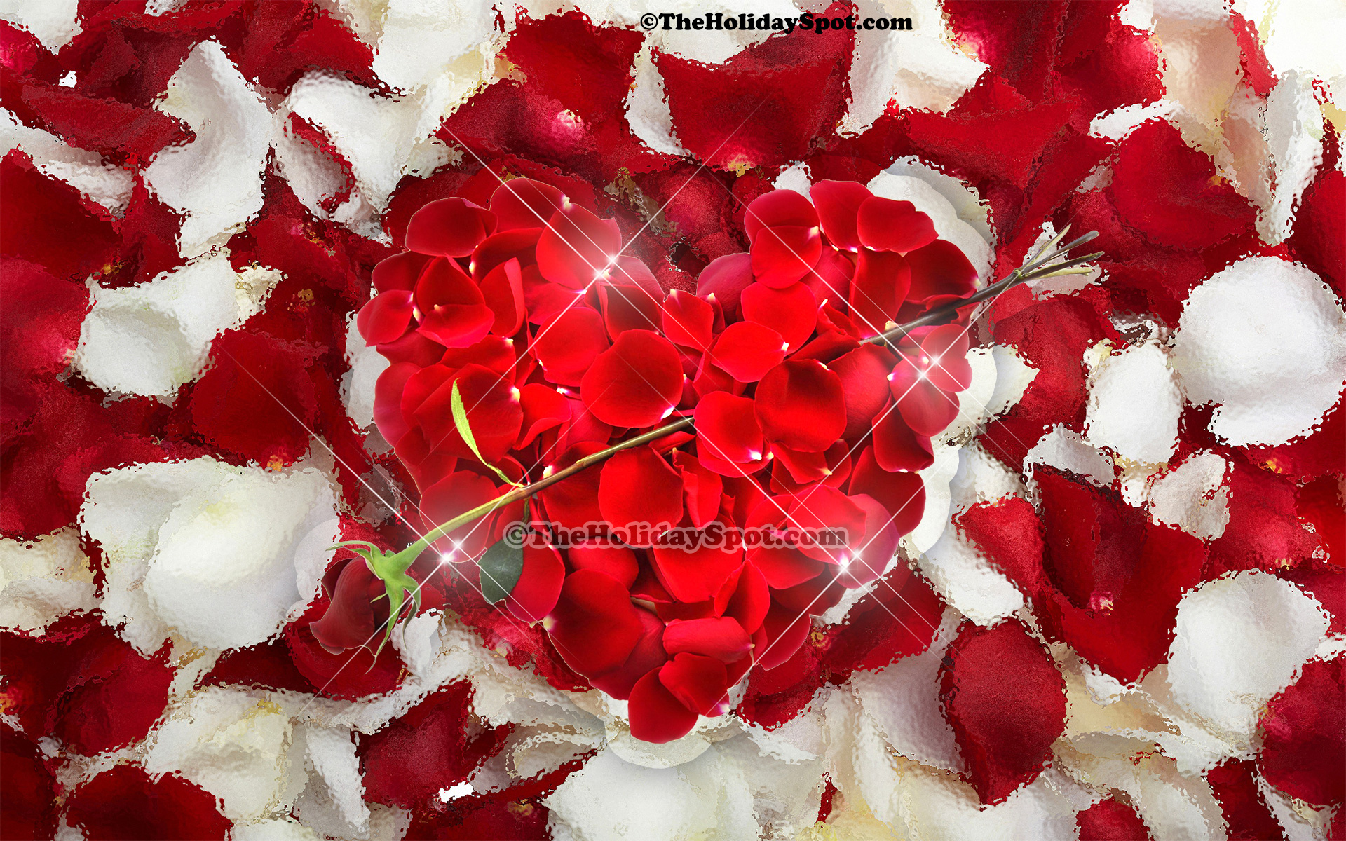 83 Free Valentine's Day Hd Wallpapers For Download - Roses Red And White , HD Wallpaper & Backgrounds
