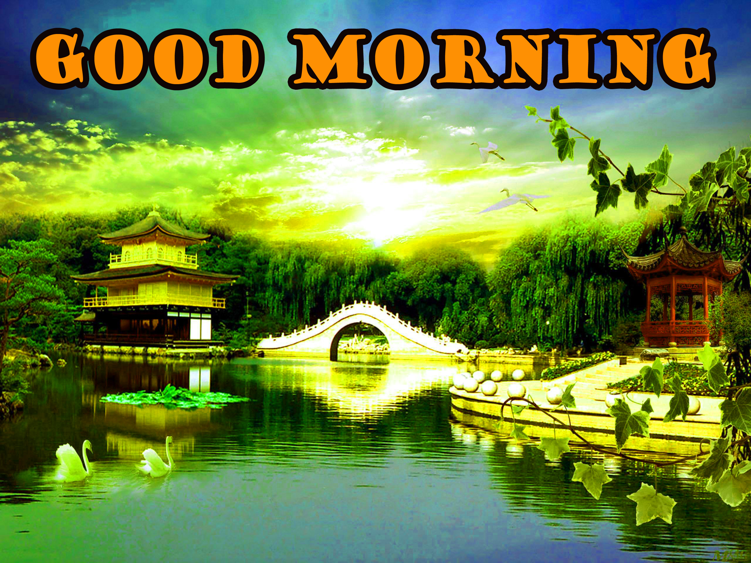 Good Morning Nature Wallpaper Pictures Images For Whatsapp - Kinkaku-ji , HD Wallpaper & Backgrounds