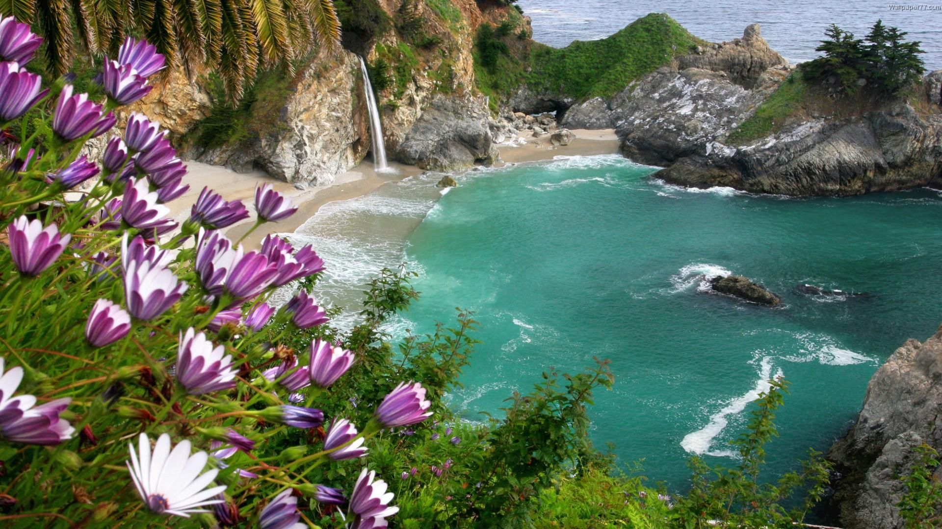 Nature Images For Whatsapp Dp - Julia Pfeiffer Burns State Park, Mcway Falls , HD Wallpaper & Backgrounds