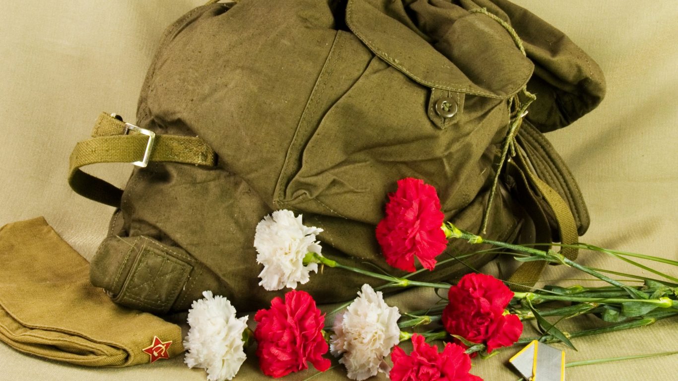 White Carnation Soldiers Flower Red Beautiful Flowers - З Днем Перемоги Картинки , HD Wallpaper & Backgrounds