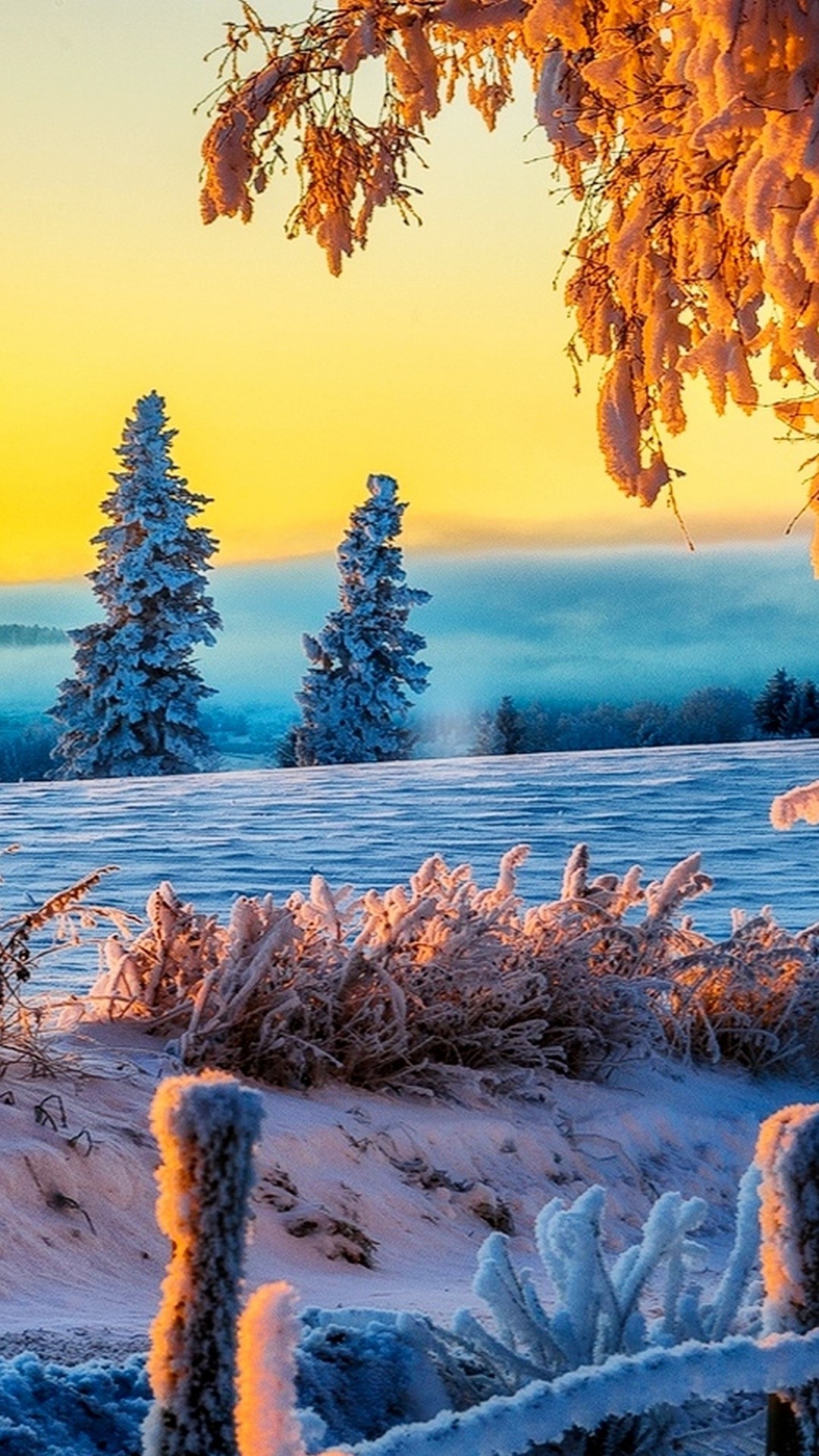 Iphone Nature Wallpaper Beautiful Winter Sunrise - 4k Beautiful , HD Wallpaper & Backgrounds