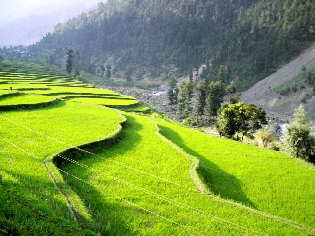 Pakistan Azad Kashmir - Leepa Valley Azad Kashmir , HD Wallpaper & Backgrounds