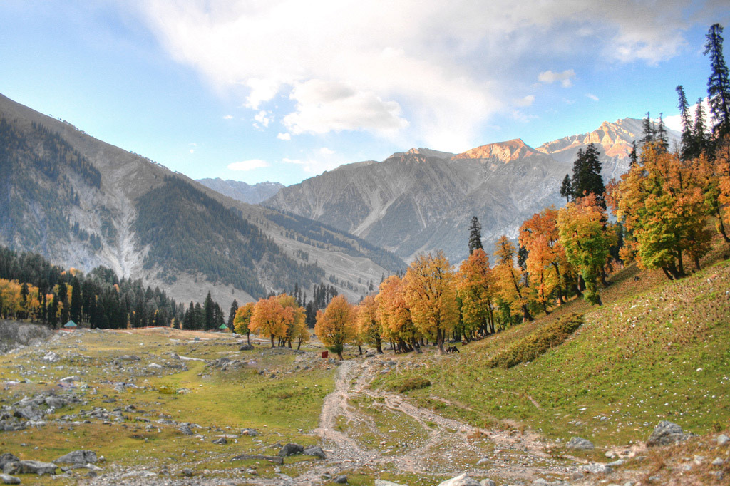 Kashmir Valley - Beauty Of Kashmir Valley , HD Wallpaper & Backgrounds