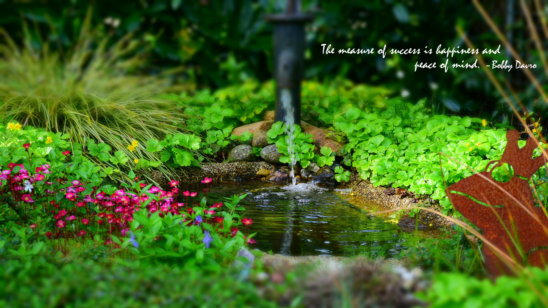 The Measure Of Success Is Happiness And Peace Of Mind - Ornement Au Bassin , HD Wallpaper & Backgrounds