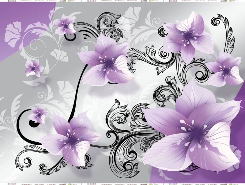 3d Wall Murals & Wallpaper Purple Lilies Black And - Malva , HD Wallpaper & Backgrounds