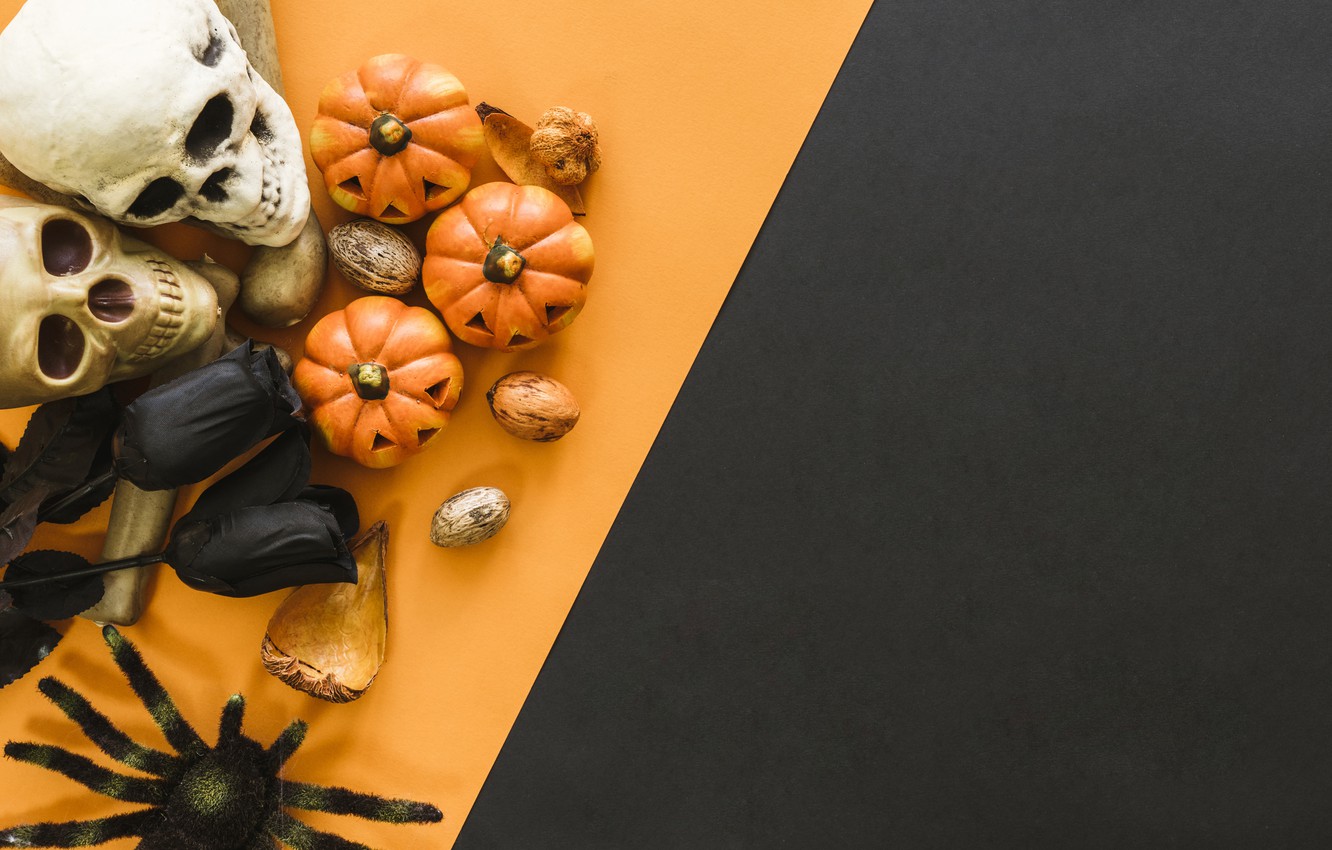 Photo Wallpaper Skull, Pumpkin, Sake, Halloween, Helloween, - Pumpkin , HD Wallpaper & Backgrounds