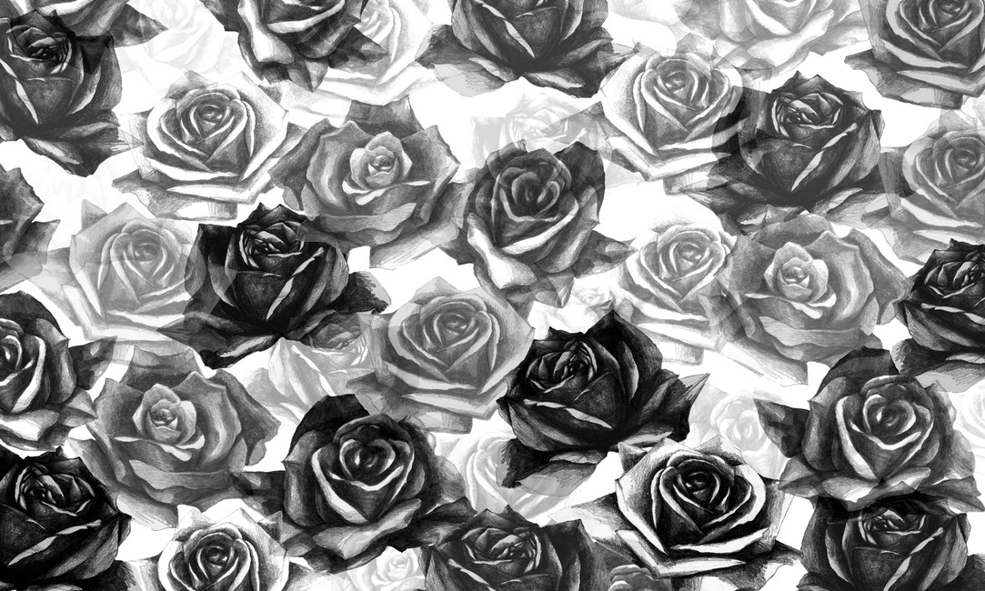Black Roses Wallpaper - Black And White Wallpaper With Roses , HD Wallpaper & Backgrounds