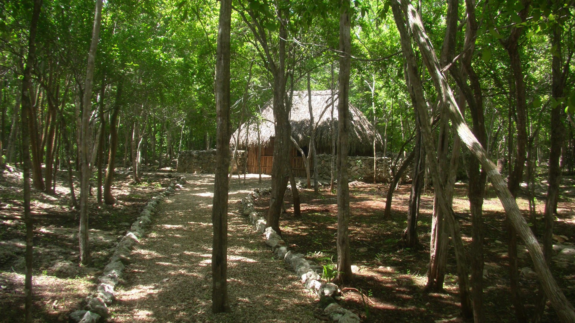 Ek Balam Yucatan Peninsula Mexico Nature Cancun Forest - Grove , HD Wallpaper & Backgrounds