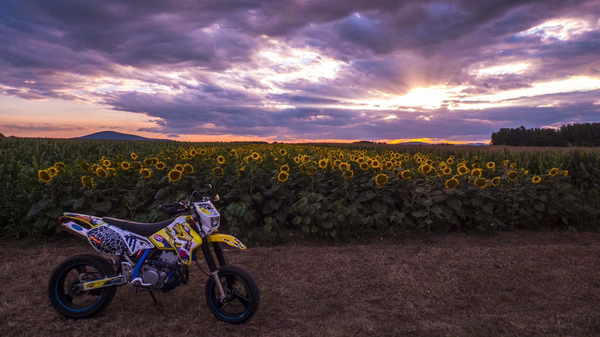 Drz 400 Sm, Monster Energy, Sunset Wallpapers Hd / - Suzuki Drz 400 Sm Wallpers , HD Wallpaper & Backgrounds