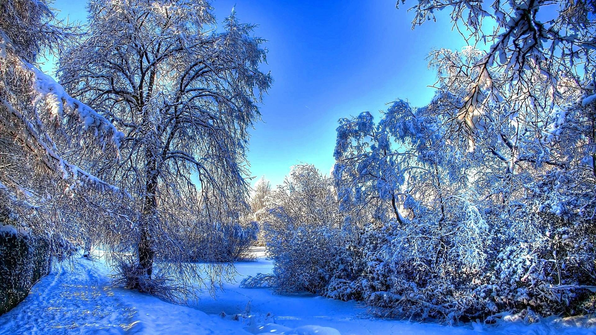 Wallpapers For > Winter Wallpaper - Hd Winter , HD Wallpaper & Backgrounds