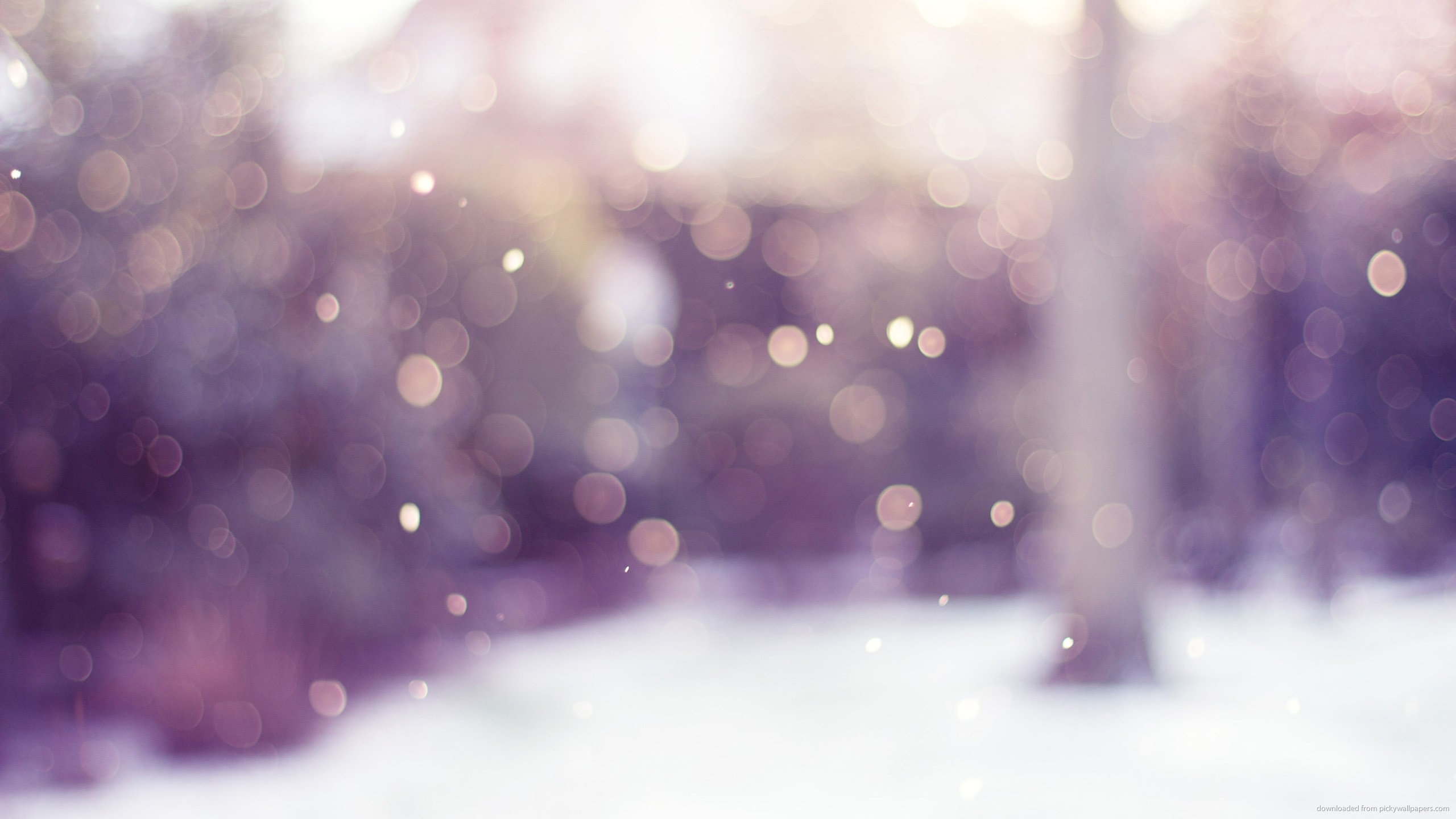 Winter Blurred , HD Wallpaper & Backgrounds