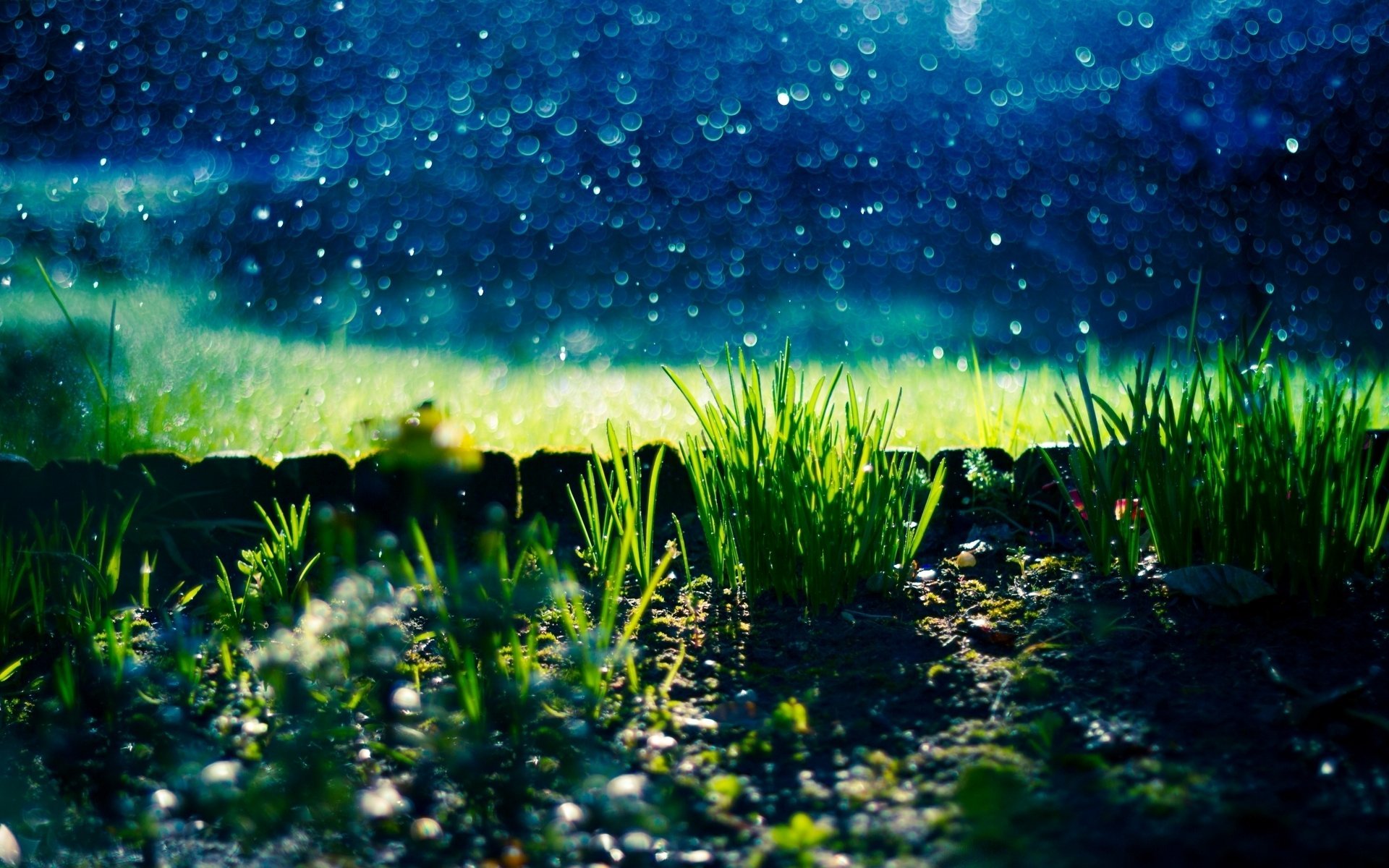 Photo Wallpaper Greens, Grass, Nature, Stones, Background, - Gras Nacht , HD Wallpaper & Backgrounds