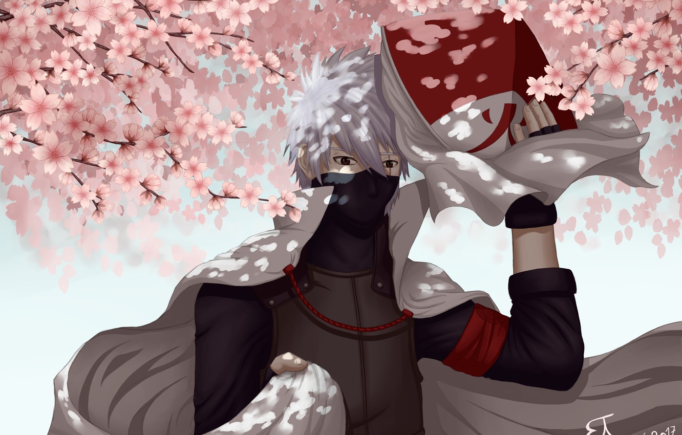 Photo Wallpaper Sakura, Flowering, Naruto, Art, Hatake - Kakashi Hokage , HD Wallpaper & Backgrounds