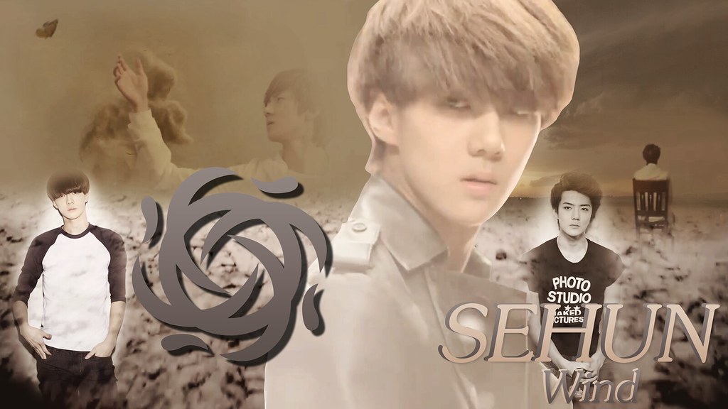 Exo Sehun Wallpaper Celebrity Images Exo Wallpaper - Exo Members With Their Power , HD Wallpaper & Backgrounds
