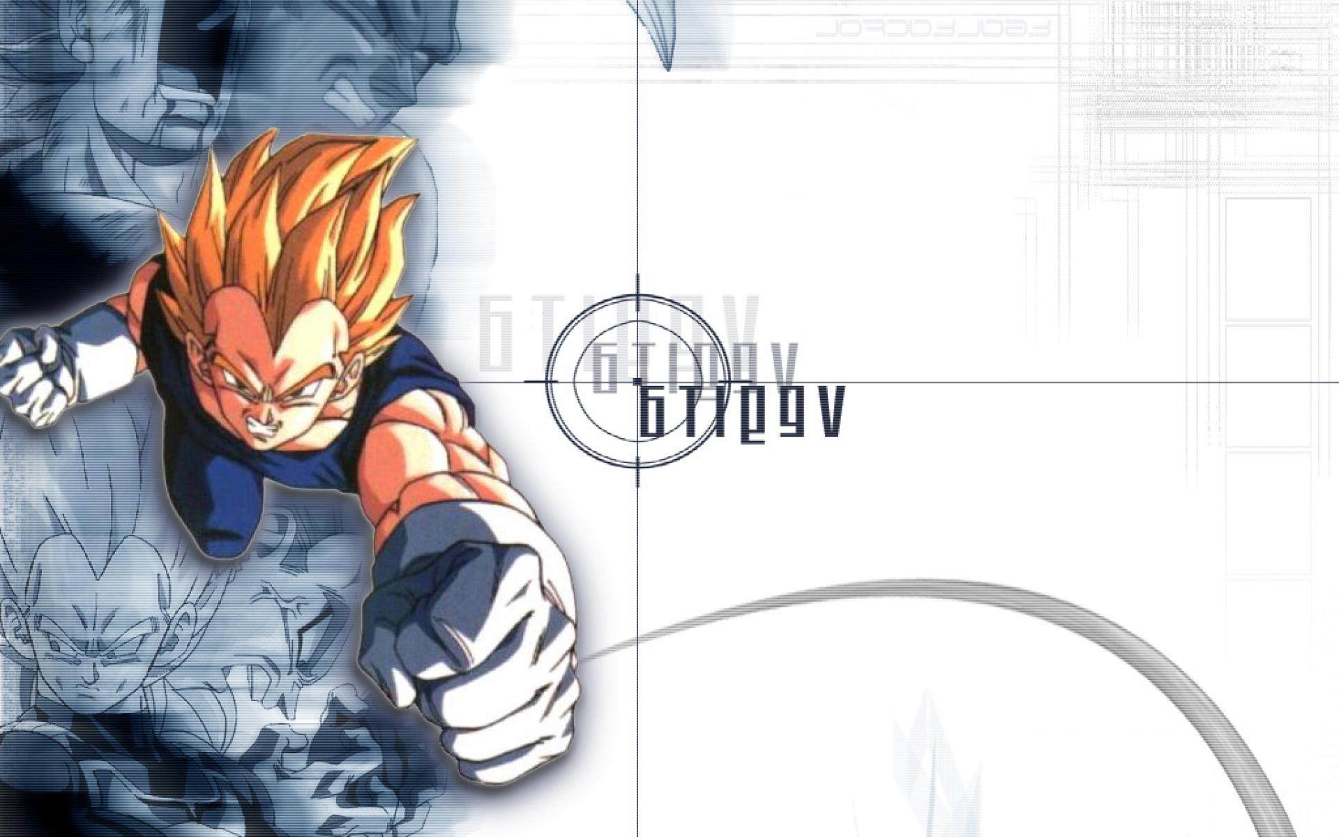 Download Vegeta Hd Wallpapers Dragon Ball Z Vegeta - Cartoon , HD Wallpaper & Backgrounds