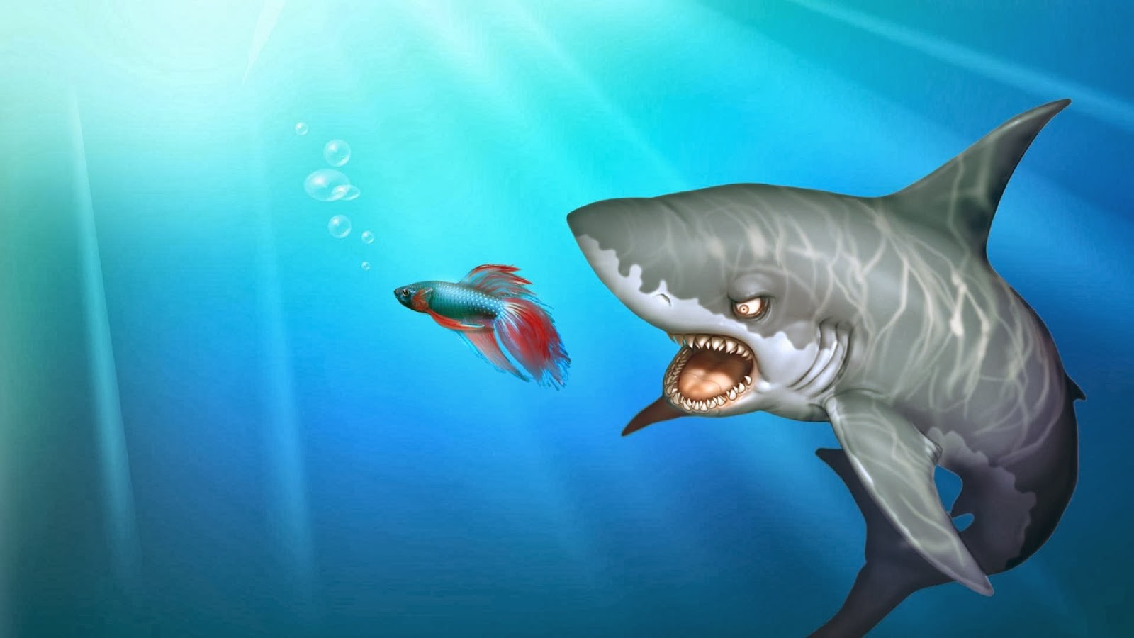 Wallpaper Kartun Shark - Shark Images Hd Download , HD Wallpaper & Backgrounds