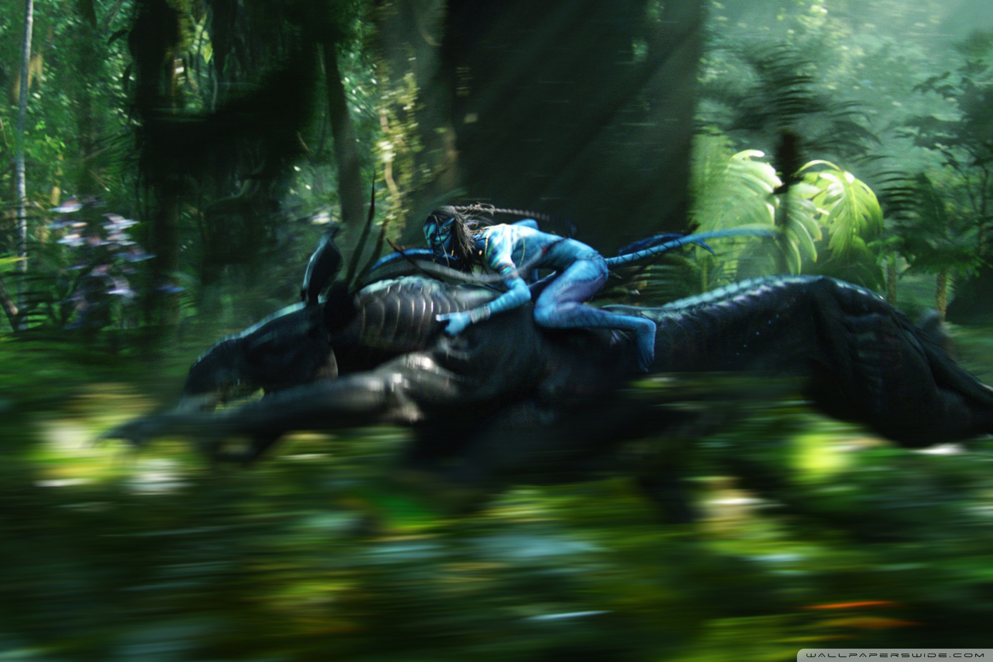 Ipad - Avatar Horses Movie , HD Wallpaper & Backgrounds