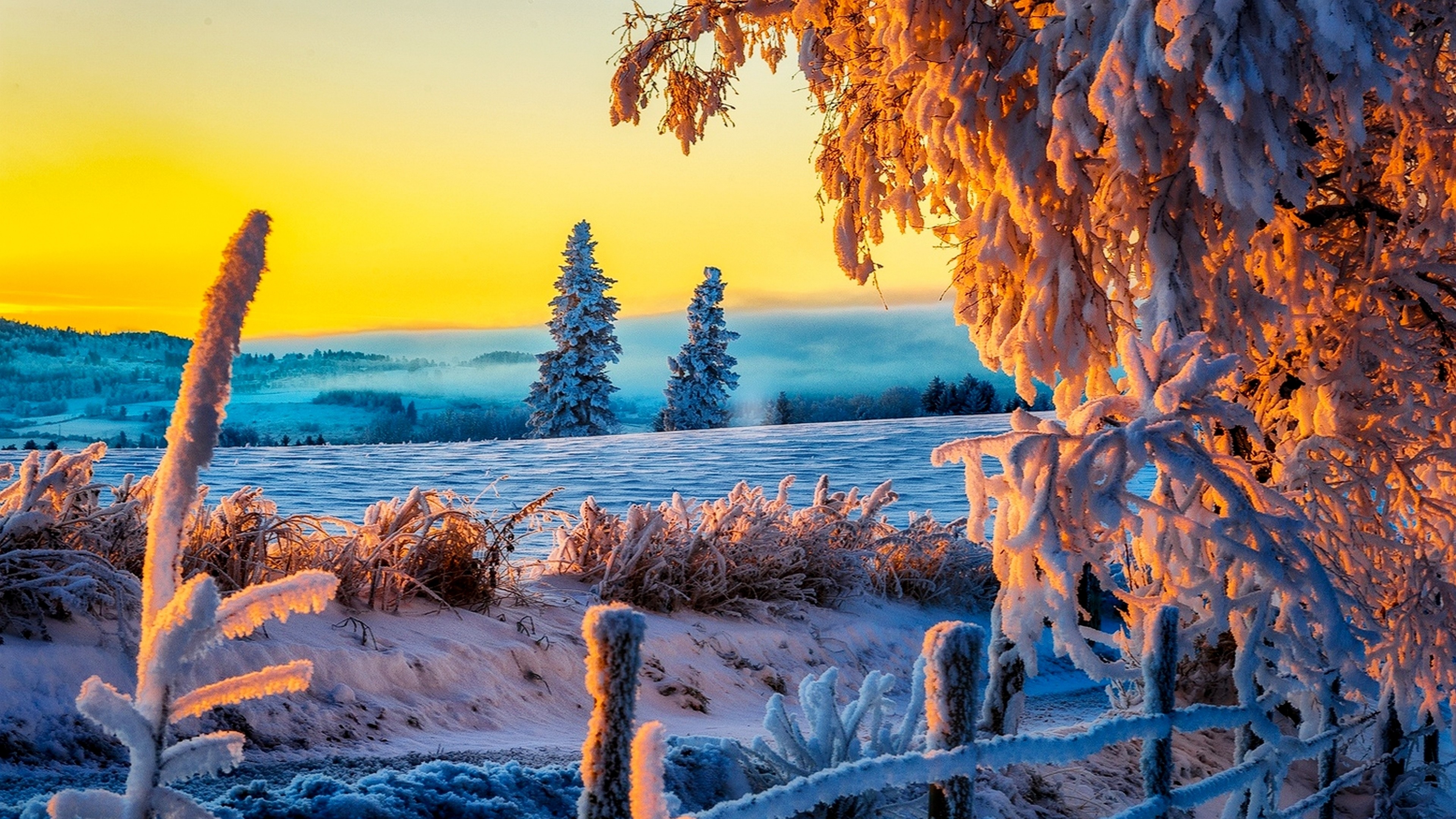 82 4k Hd Wallpapers On Wallpaperplay - Wide Wallpapers 4k , HD Wallpaper & Backgrounds