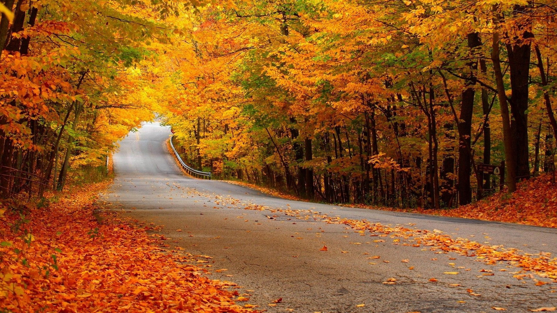 Hd Wallpaper For Pc-8 - Yellow Leaves With Road , HD Wallpaper & Backgrounds