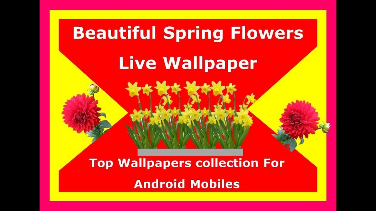 Beautiful Spring Flowers Live Wallpaper - Lamello , HD Wallpaper & Backgrounds