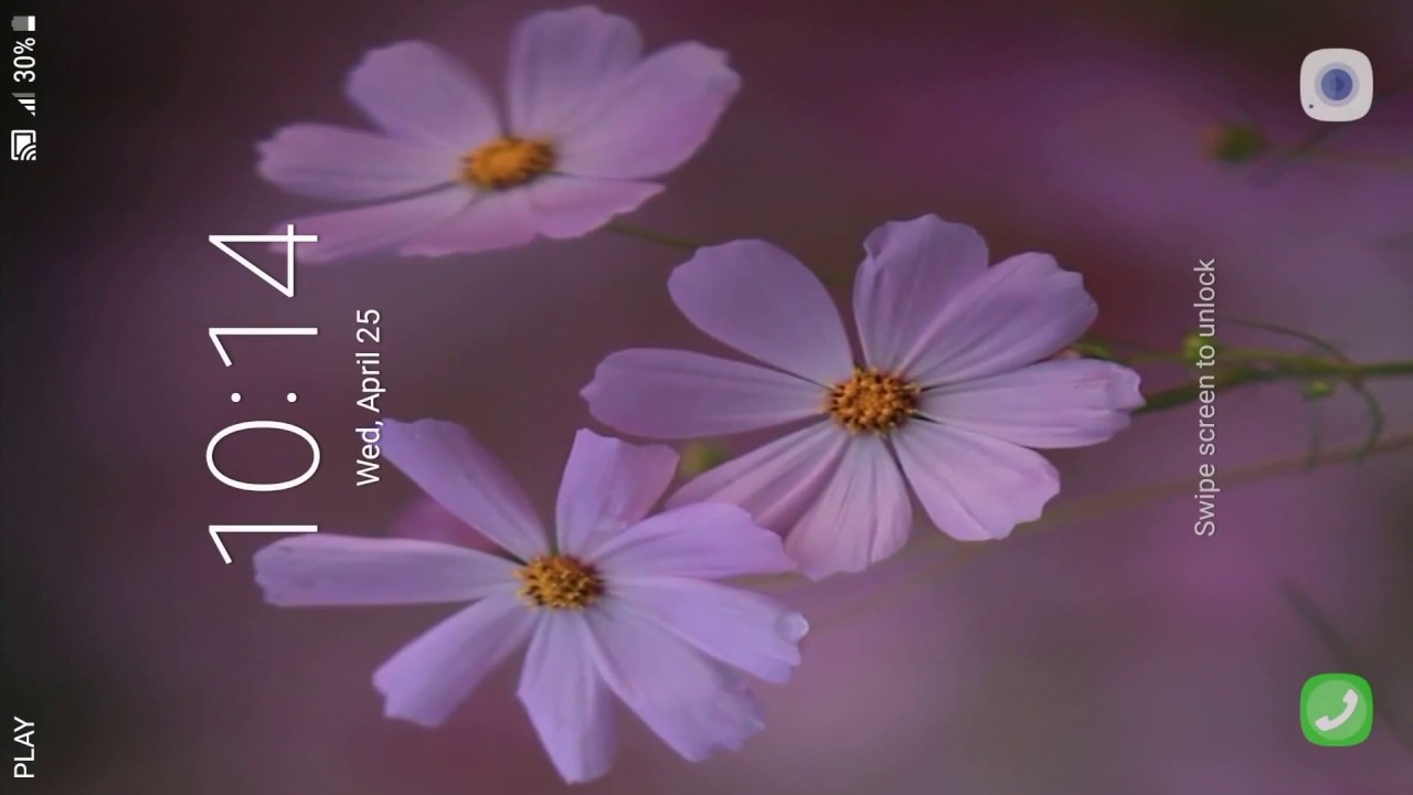 Real Flowers Live Wallpaper - Garden Cosmos , HD Wallpaper & Backgrounds