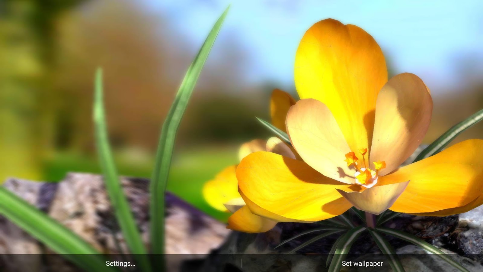 Spring Flowers Live Wallpaper - Flowers 3d Live , HD Wallpaper & Backgrounds