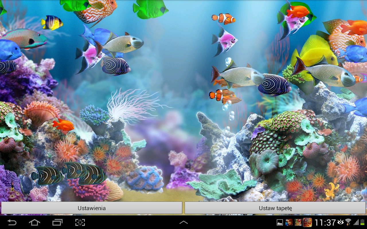 Aquarium Live Wallpaper Hd Aplicaciones De Android - Aquarium Live Wallpaper Hd , HD Wallpaper & Backgrounds