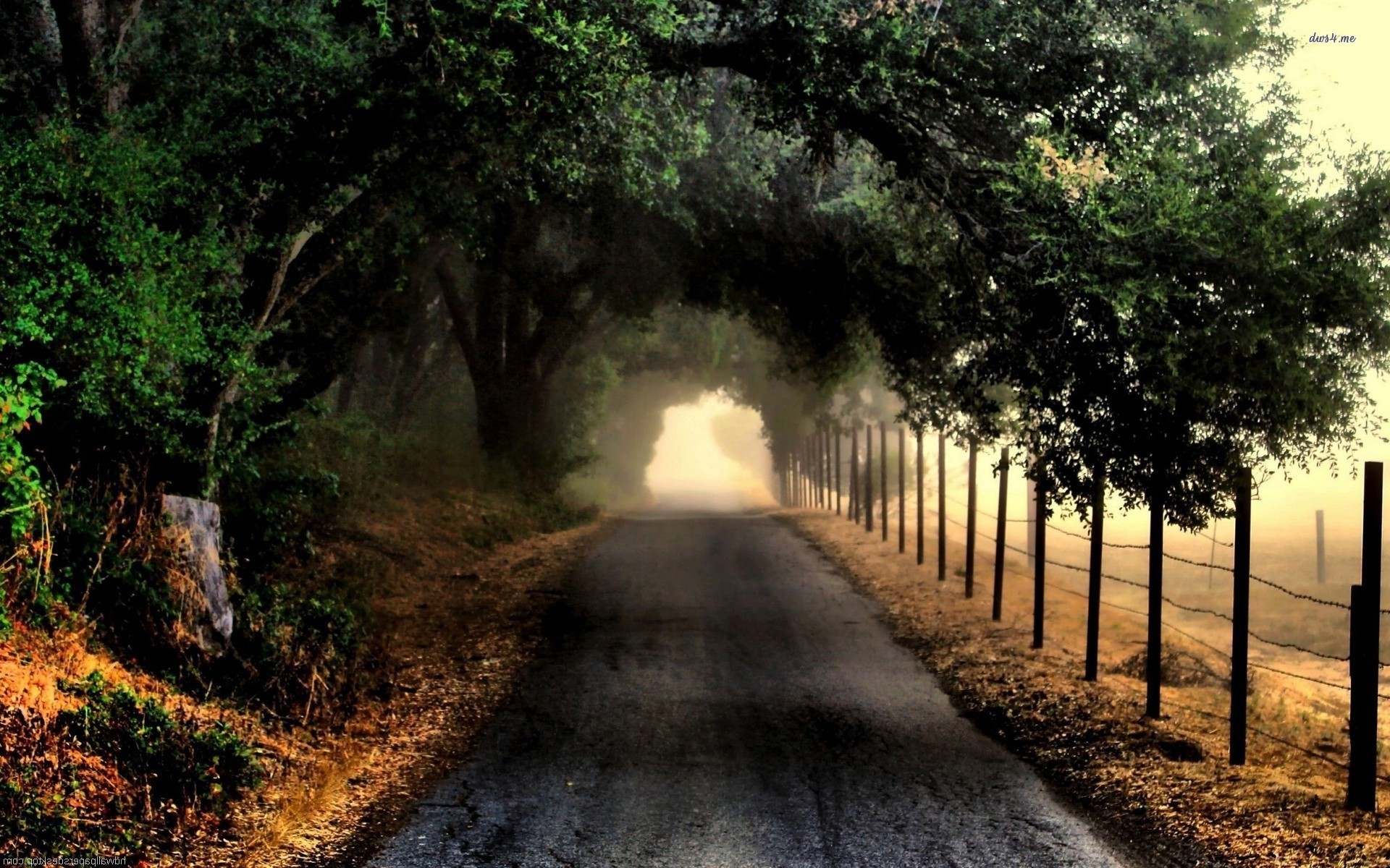 Dark Road Wallpaper - Hd Wallpaper Dark Road , HD Wallpaper & Backgrounds