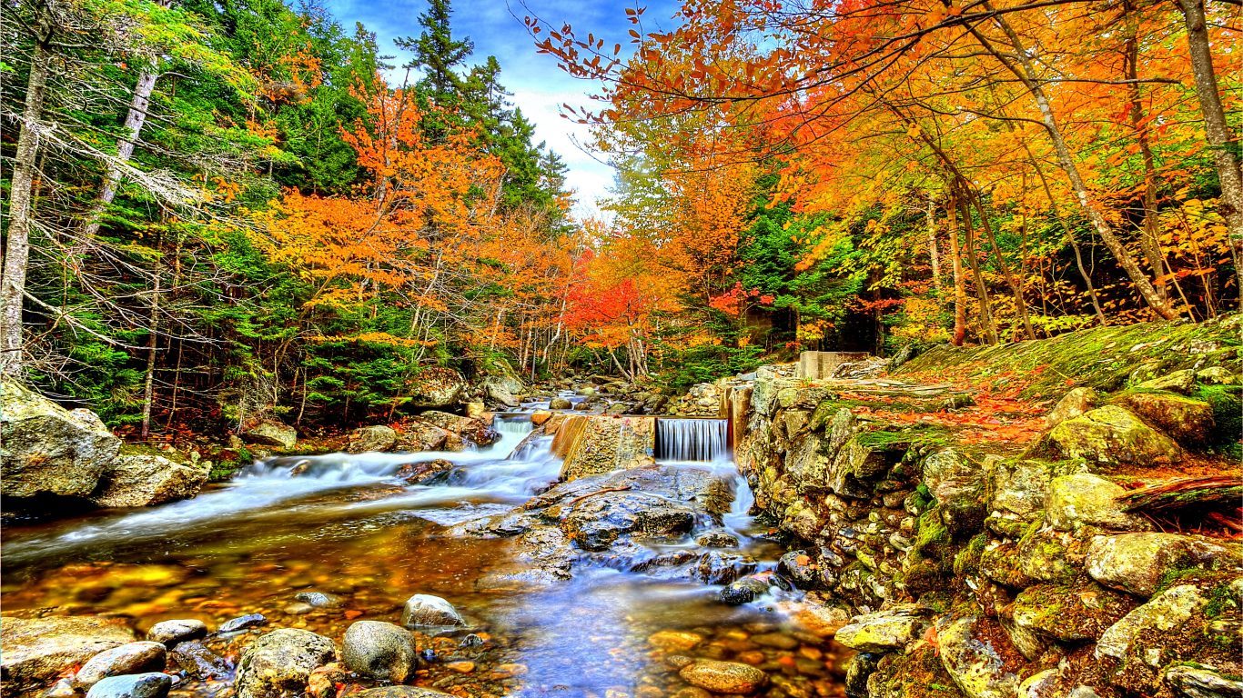 Forest Waterfalls River Rocks Hd 3d Live Wallpaper - Fonds Ecran Automne Forêt , HD Wallpaper & Backgrounds