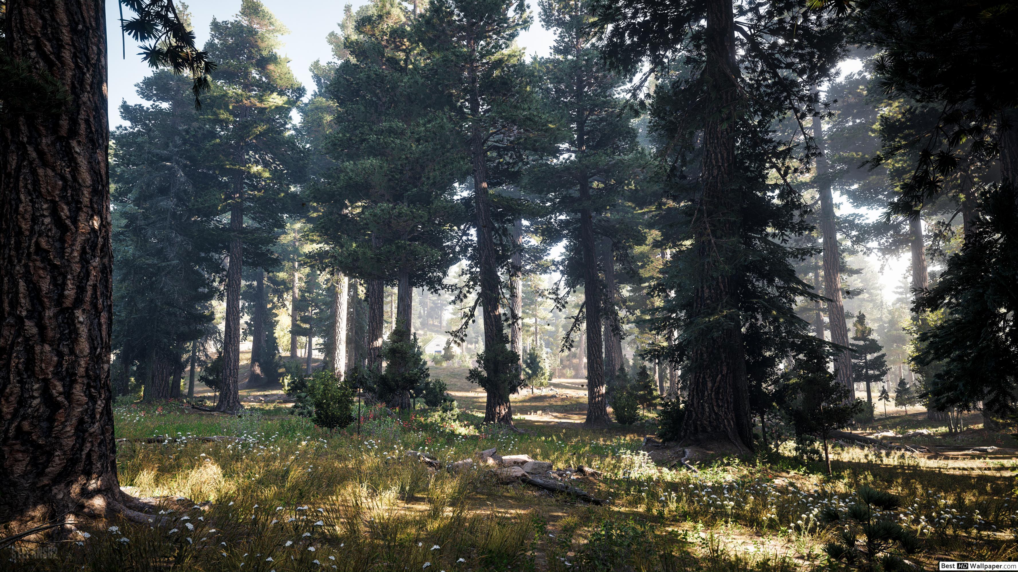 Uhd - Far Cry 5 Wallpaper Forest , HD Wallpaper & Backgrounds